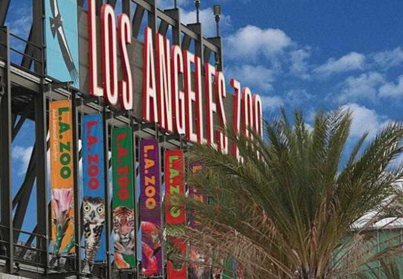 By Marriott Angeles L.a. Live Hotel Los Ángeles